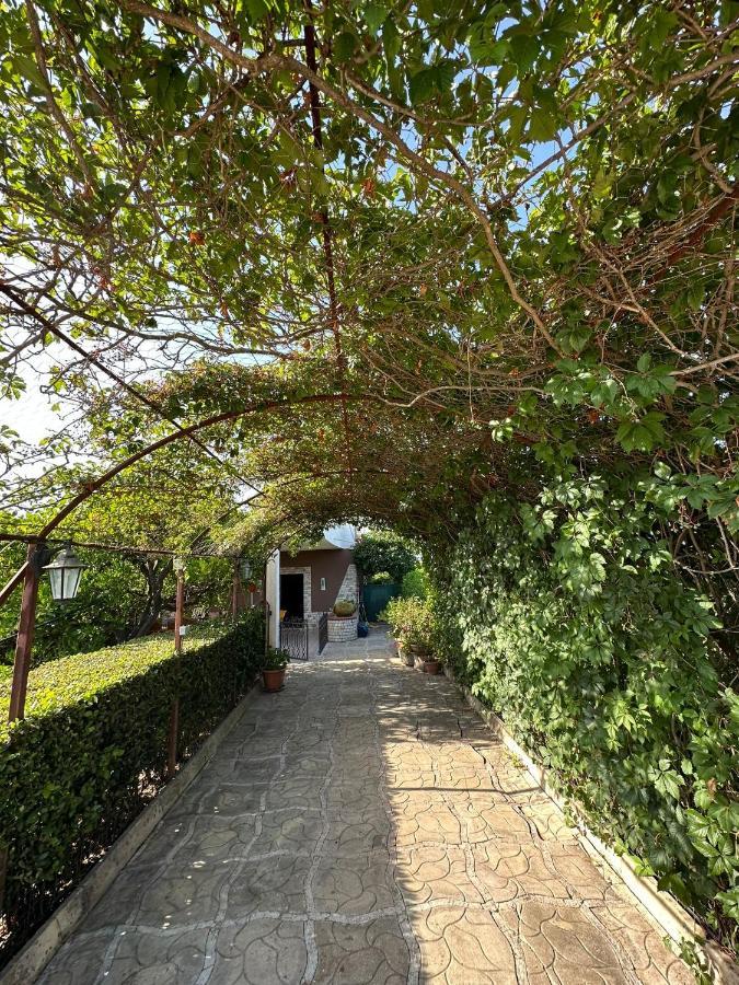 Villa Mariuccia Сиракуза Екстериор снимка
